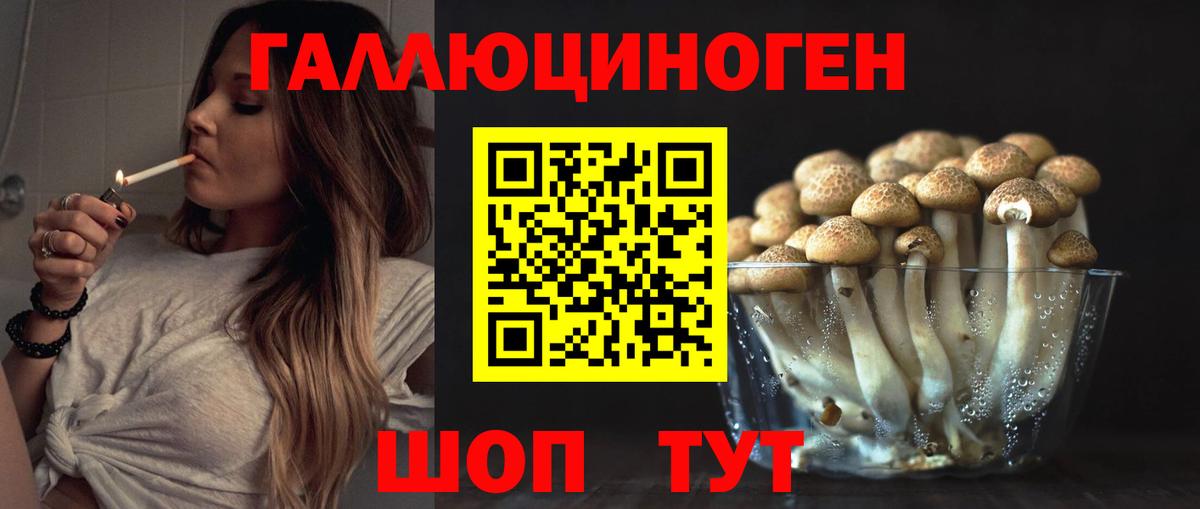 Псилоцибиновые грибы Psilocybe  Галлюциногенные грибы Psilocybine cubensis  Вход с VPN  Знаменск 